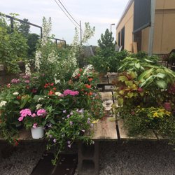 Family Tree Nursery 74 Photos Nurseries Gardening 830 W Photo Of Family Tree Nursery Liberty Mo United States