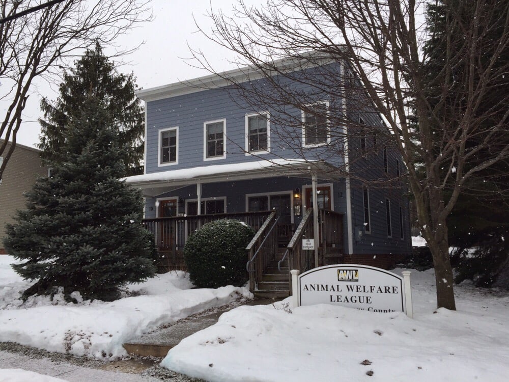 o - No Kill Animal Shelters Near Me For Cats Animal Welfare League of Montgomery County Animal