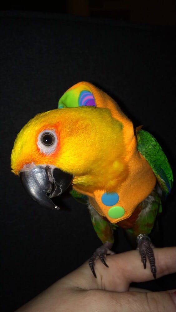 Petco 70 Photos & 128 Reviews Pet Stores 200 S La Brea Ave, Hancock Park, Los Angeles, CA