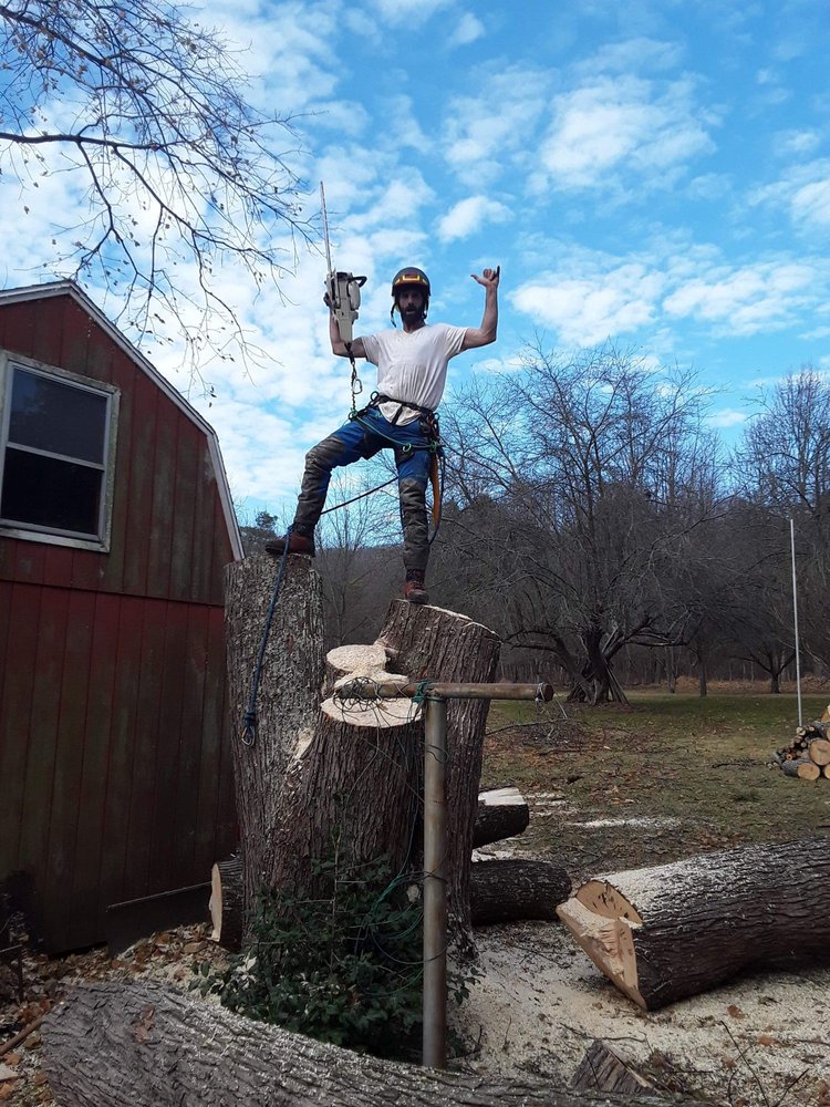 ABC Tree Monkeys