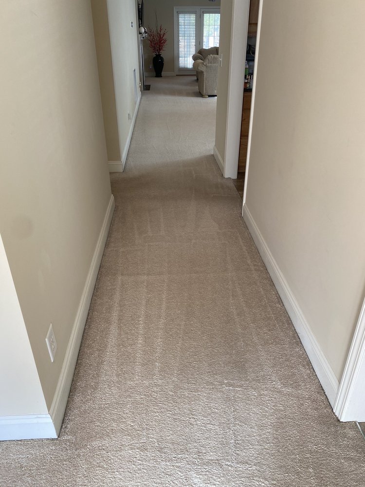 Carolina Carpet Medic