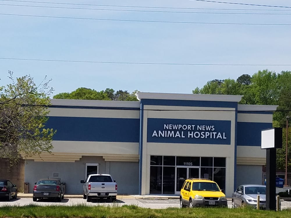 Newport News Animal Hospital 10 Reviews Veterinarians 11105