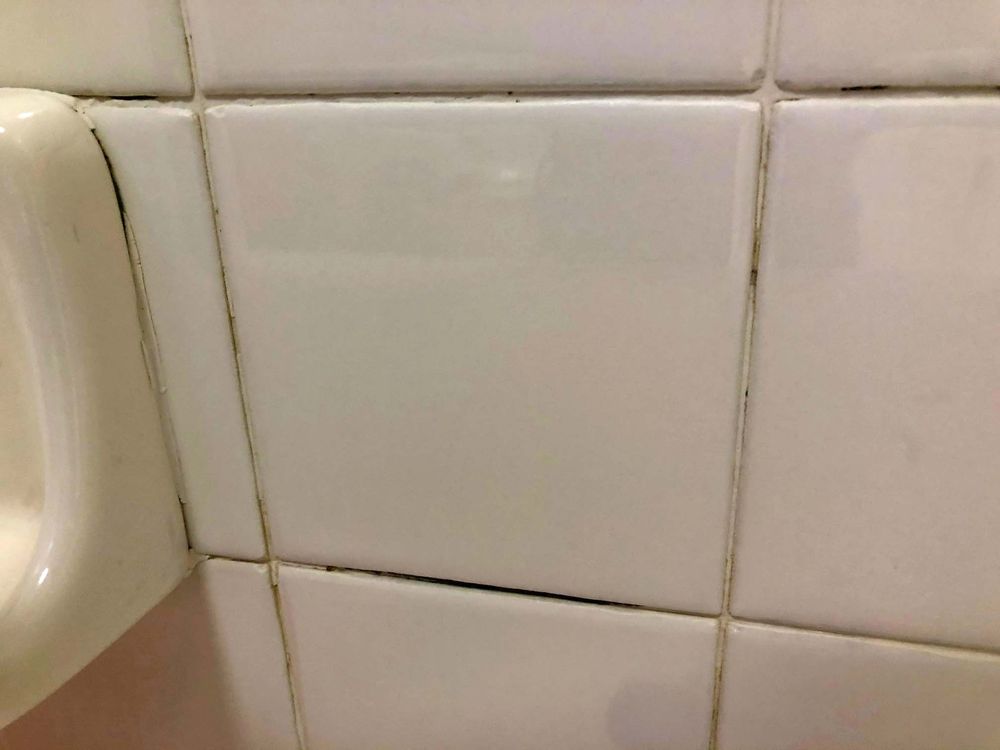The Grout Expert