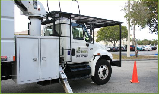 Arborcare