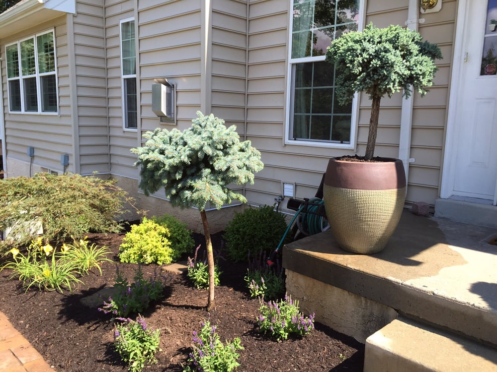 Tammaro Landscape and Design