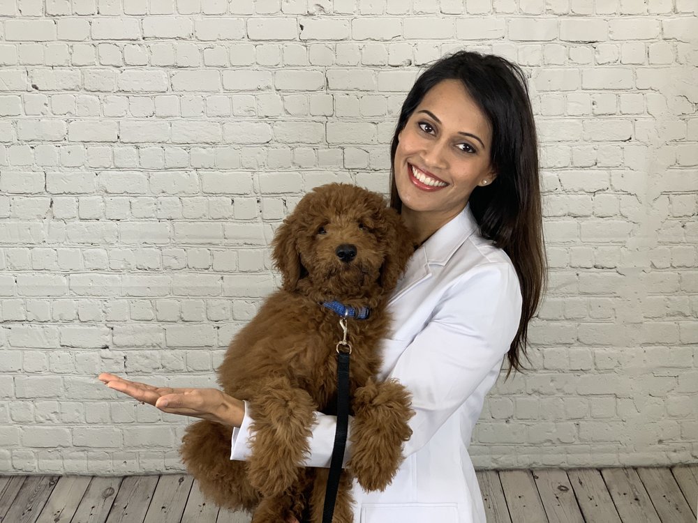 image of business Pure Holistic Dental