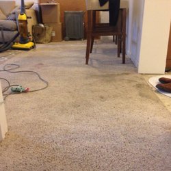 My Carpet Stretchers 19 Photos Installation 405