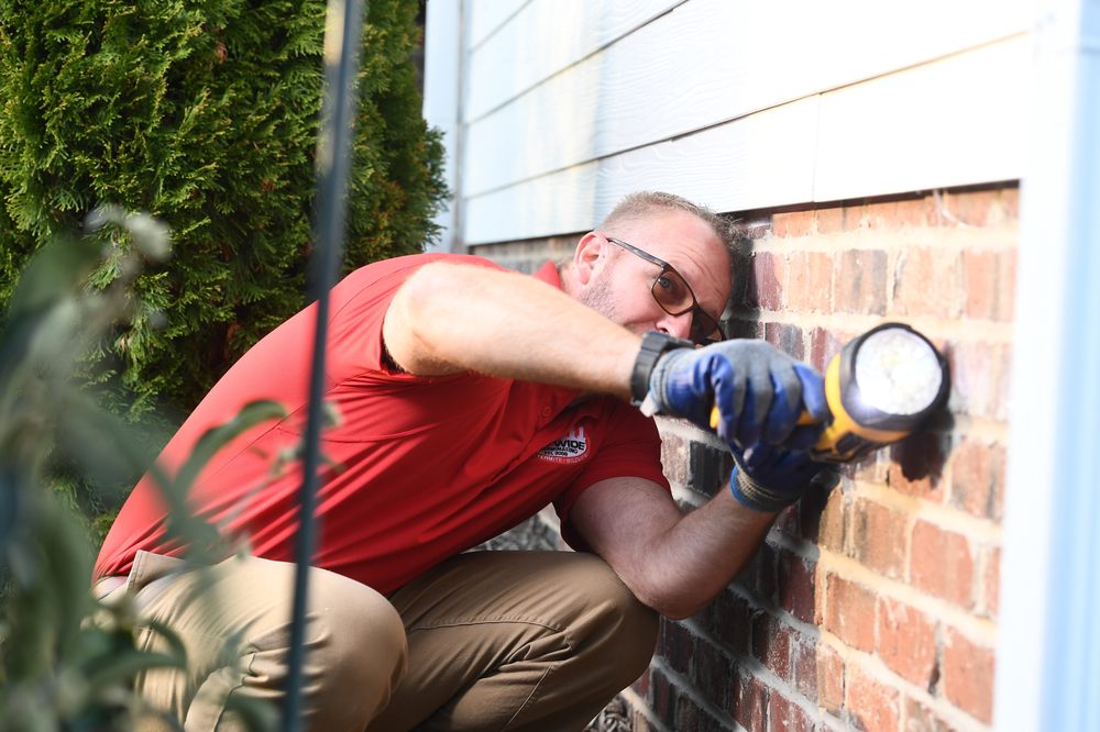 City Wide Exterminating