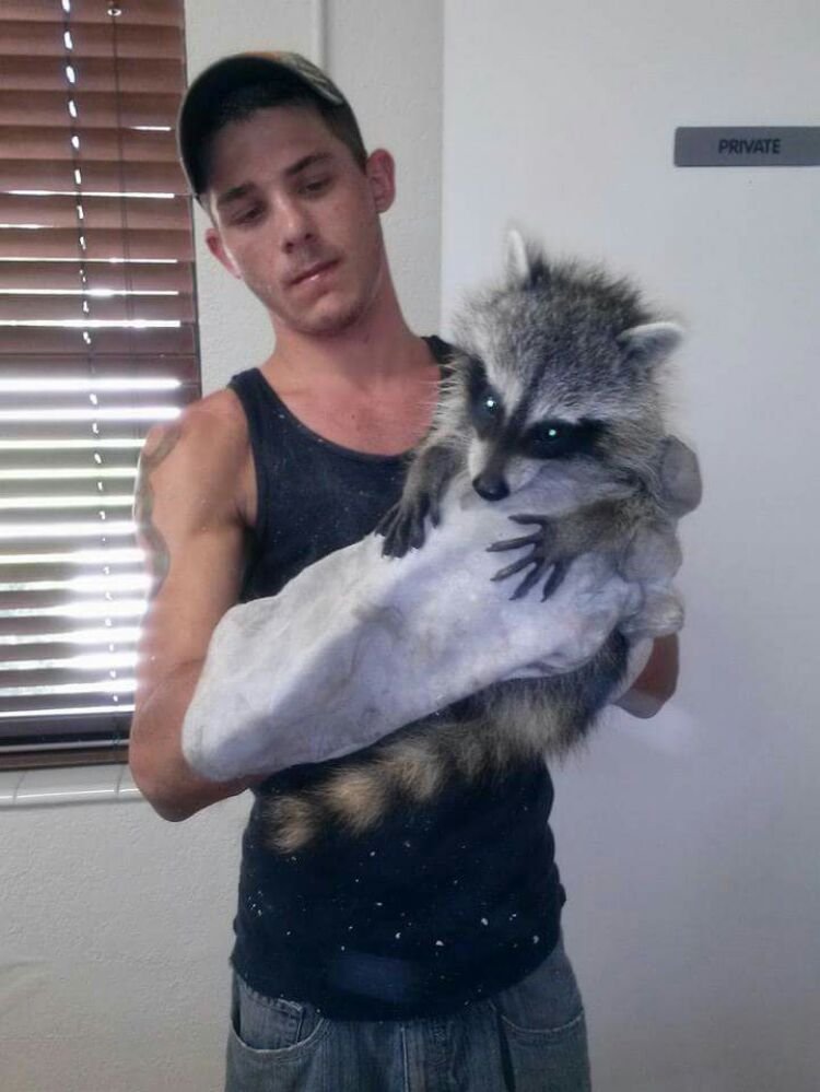 Buzz Away Wildlife Carolinas