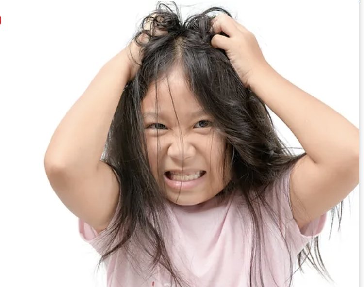 Lice Mamas