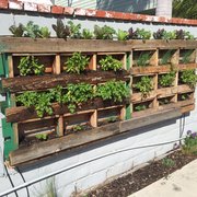 Baron Brothers Nursery 35 Photos 31 Reviews Nurseries Photo Of Baron Brothers Nursery Camarillo Ca United States Custom Made Pallet