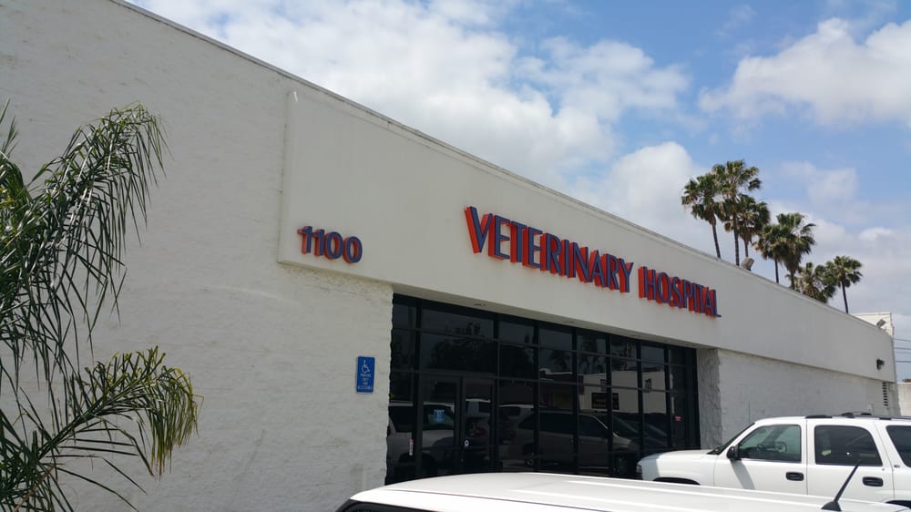 Orange Veterinary Hospital 23 Photos & 46 Reviews Veterinarians