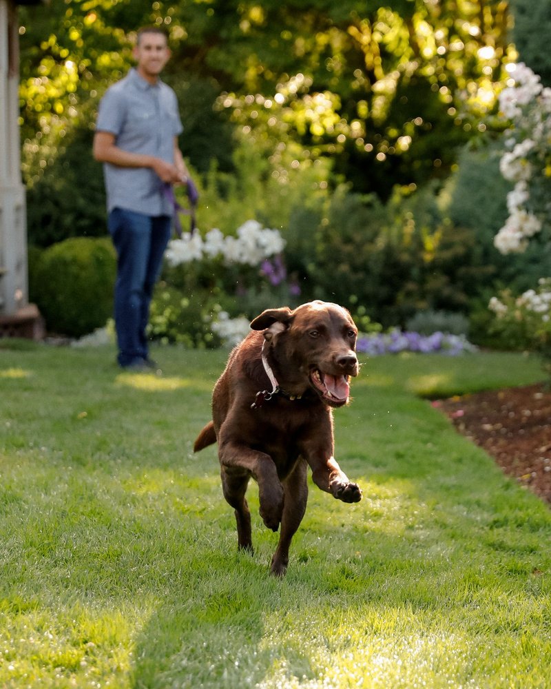 Zoë Burchard Studio