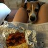 Coney Island Lunch