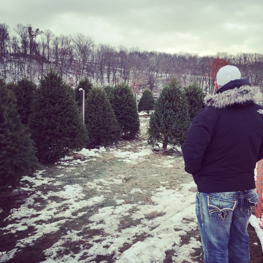 photos for wyckoff s christmas tree farm yelp photos for wyckoff s christmas tree farm yelp