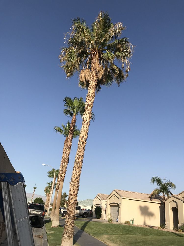 A Ramirez Gardening and Landscaping