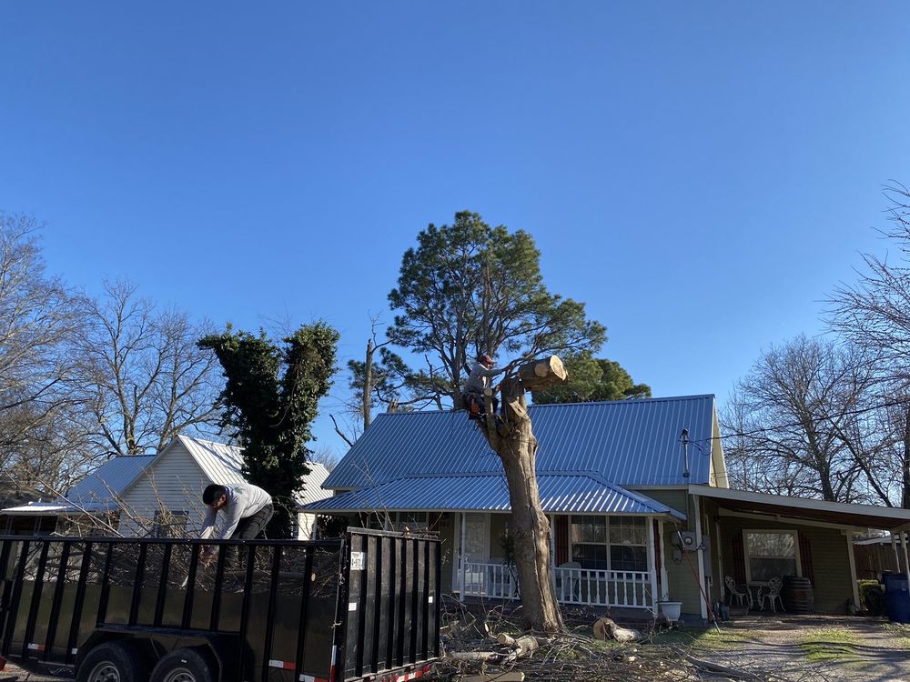 Top Tree Service