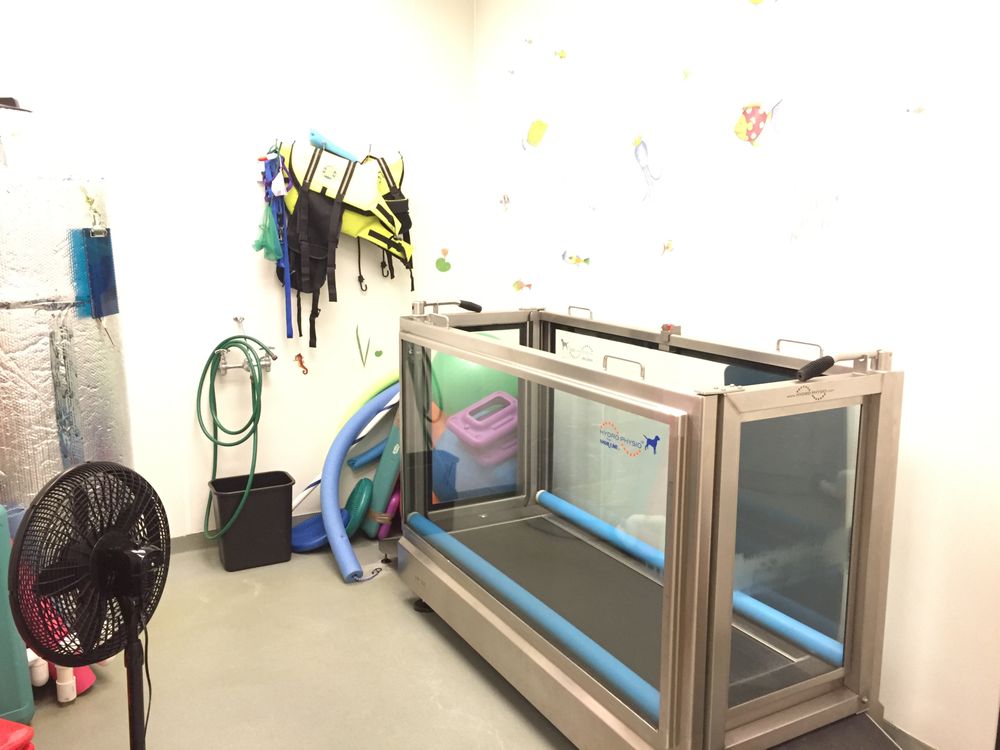 Family Veterinary Hospital of Stone Ridge