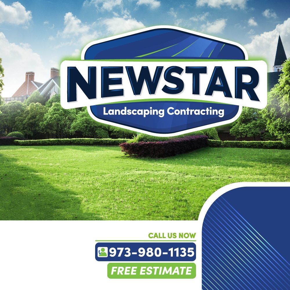 image of business Newstar Landscaping contracting