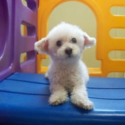 Best Friends North Plainfield 13 Photos 16 Reviews Pet Photo Of Best Friends North Plainfield Nj United States