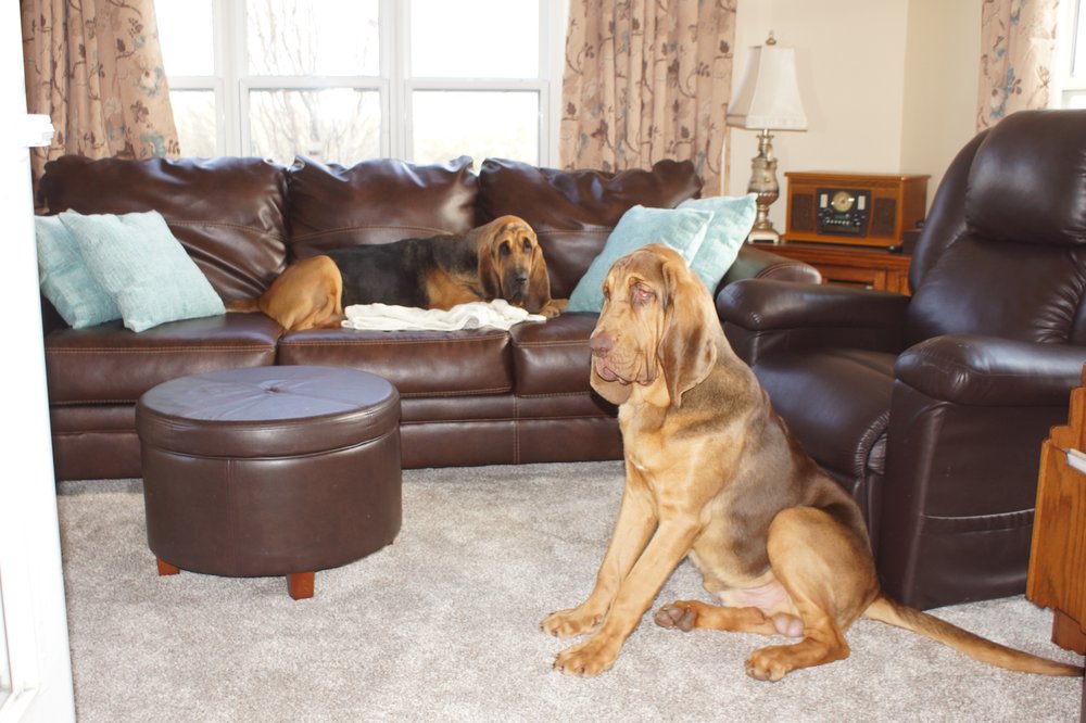 image of business JP Flooring