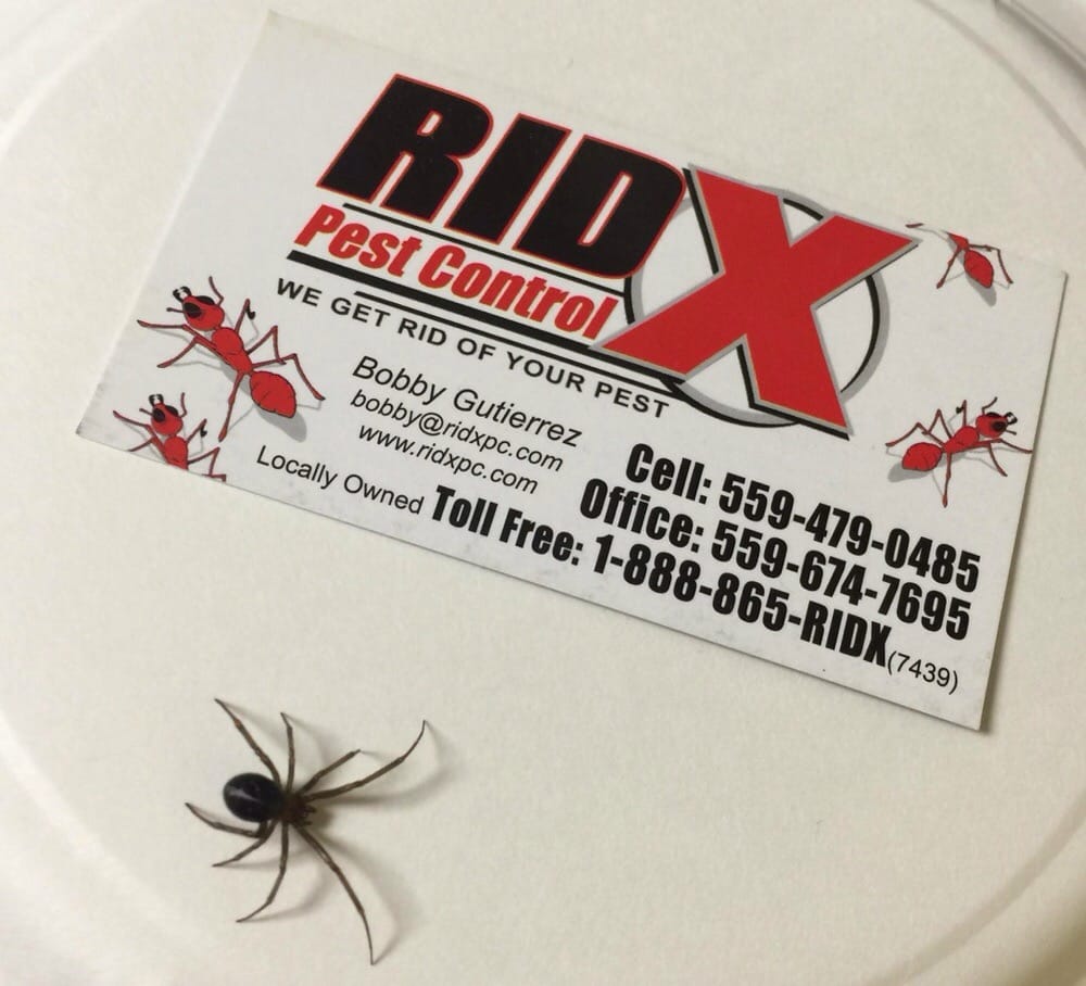 Ridx Pest Control 151 Photos Pest Control 2000 N Schnoor St