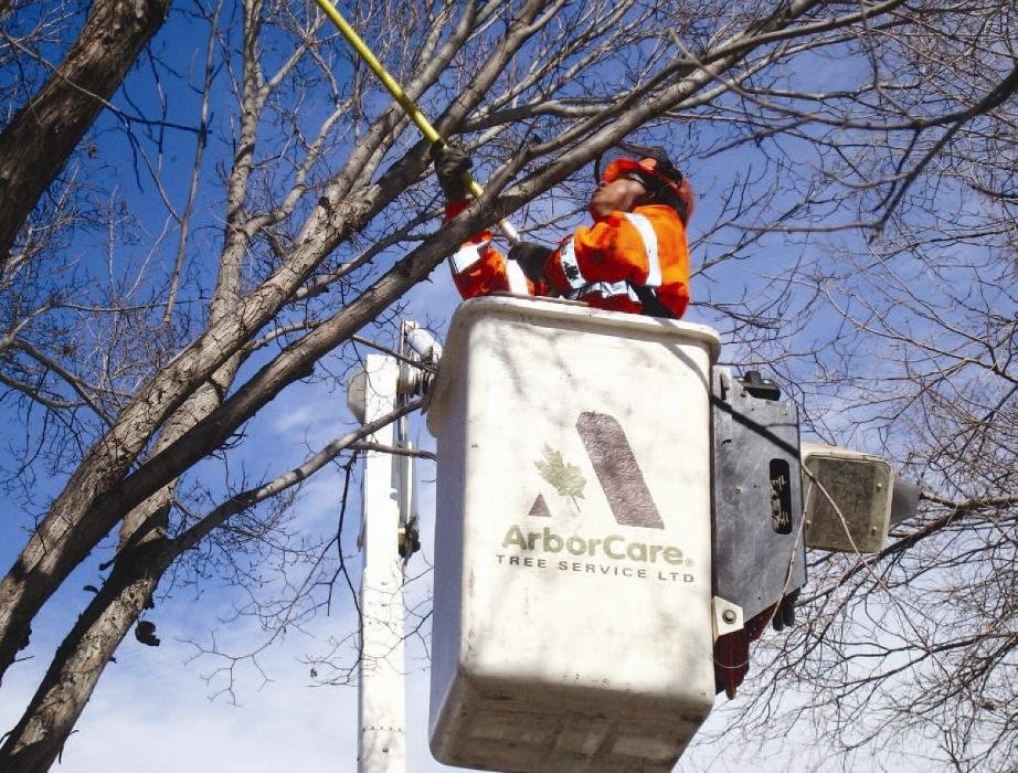 ArborCare