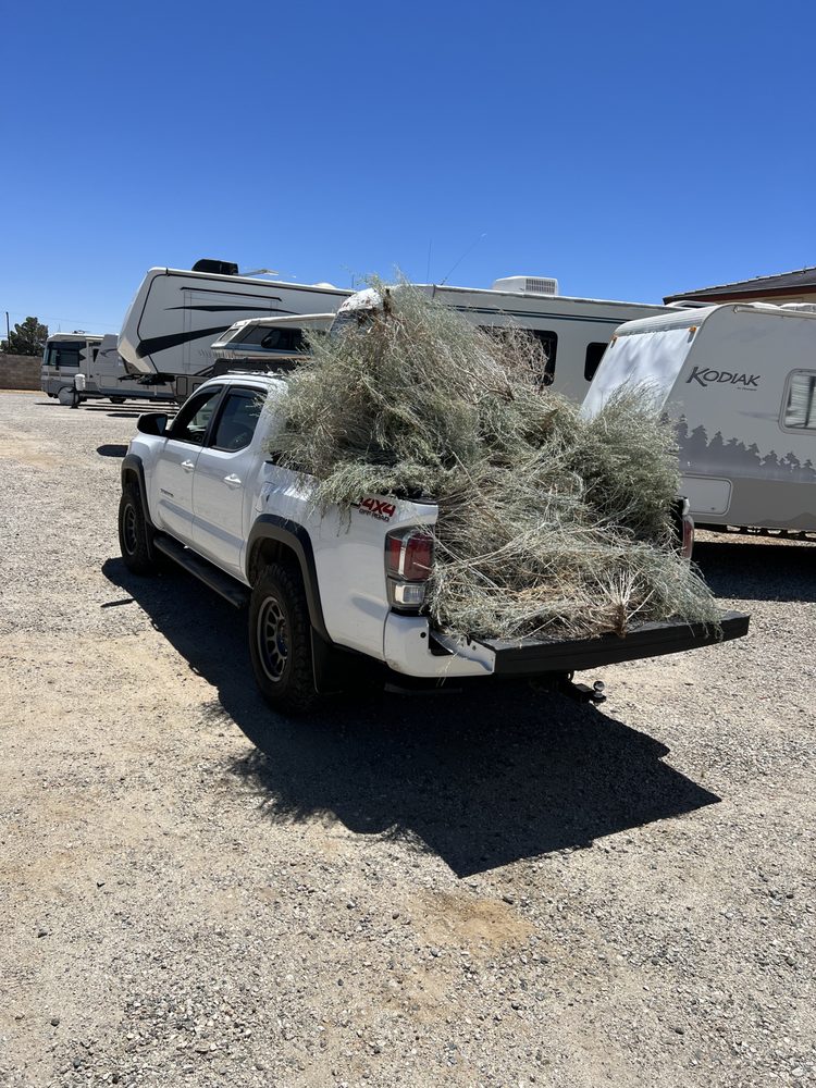 Patty's landscaping 