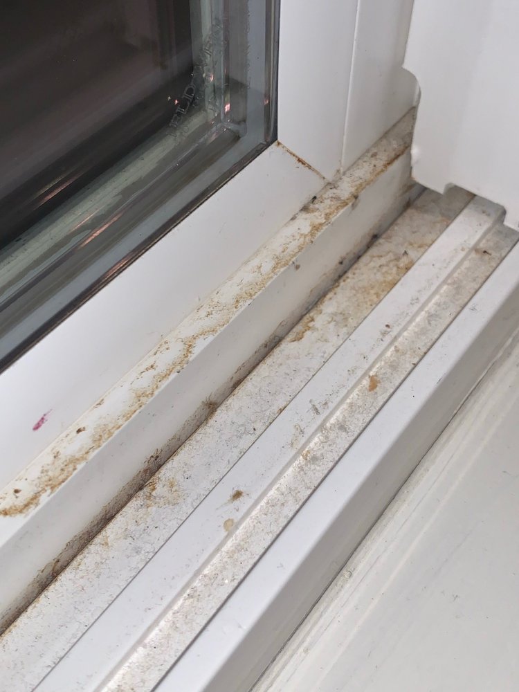 NEPA Cleaning Pros