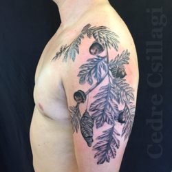 diving swallow tattoo 57 photos u0026 116 reviews tattoo 264 diving swallow tattoo 57 photos u0026 116 reviews tattoo 264