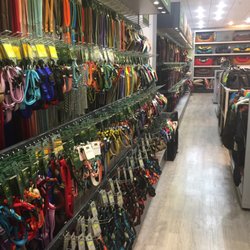 puppy store fort lauderdale pet store pet shops 2414 e blvd fort lauderdale fl united states puppy store fort lauderdale pet store pet shops 2414 e blvd fort lauderdale fl united states