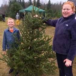 fish creek tree farm 193 rboles de navidad 18420 3rd ave fish creek tree farm 193 rboles de navidad 18420 3rd ave
