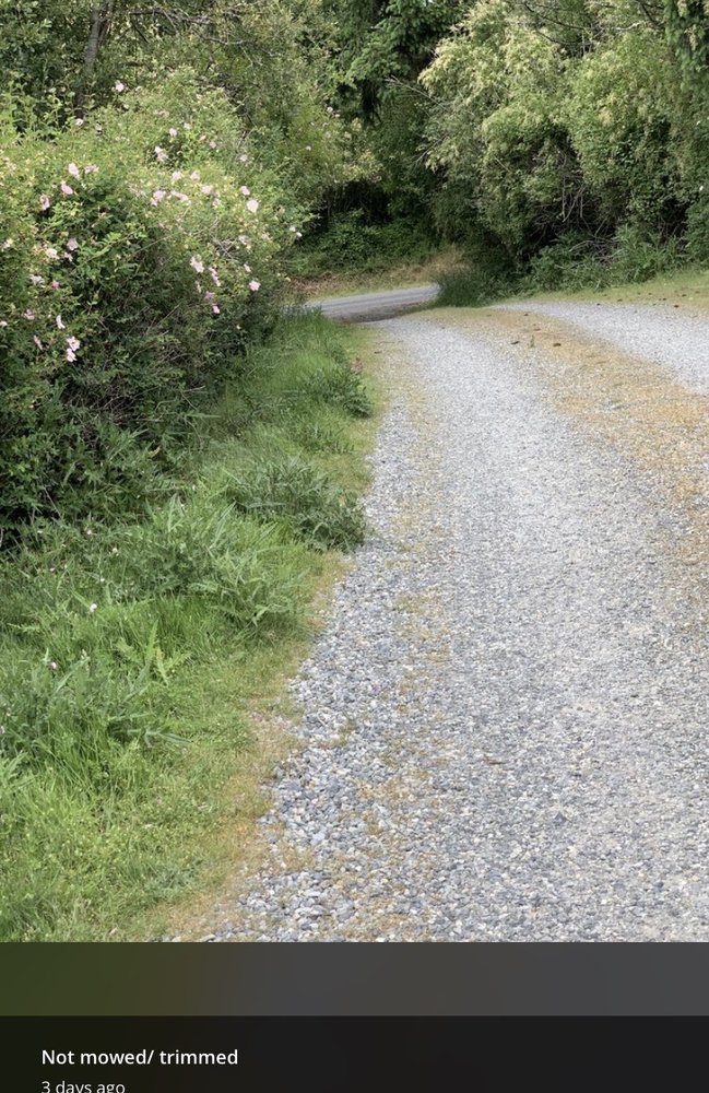 Evergreen Landscape & Construction