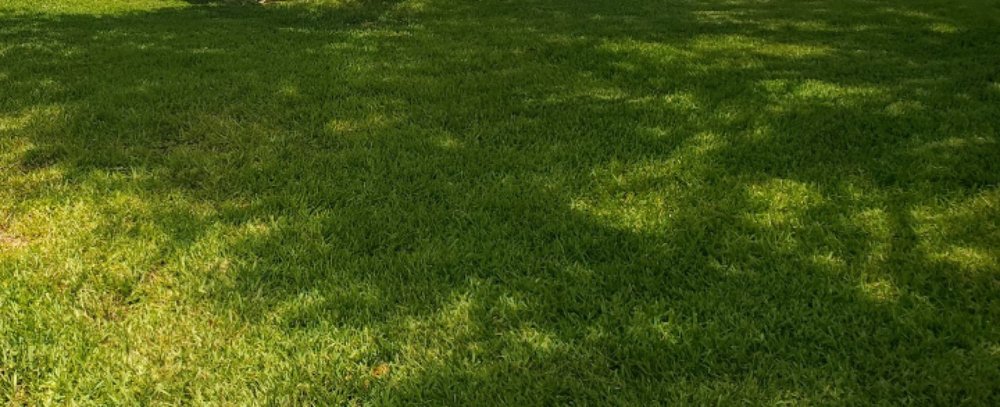 Hill Lawn Care