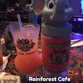 Rainforest Cafe Edison Nj Reviews Rainforest Cafe Edison Nj Reviews