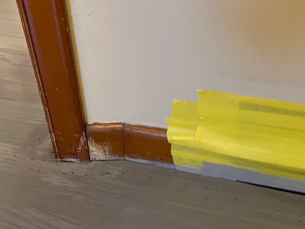 image of business The Hardwood King