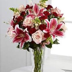 langley flowers 30張相片 花店 19950 88th avenue e langley flowers 30張相片 花店 19950 88th avenue e