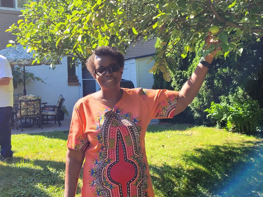 image of business Bischoff Family Dentistry