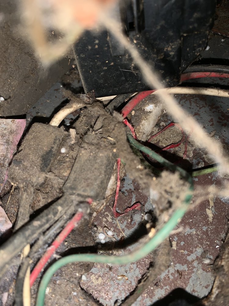 Quick Trip Appliance Repair