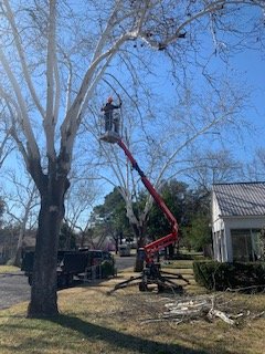 Hegers Tree Service
