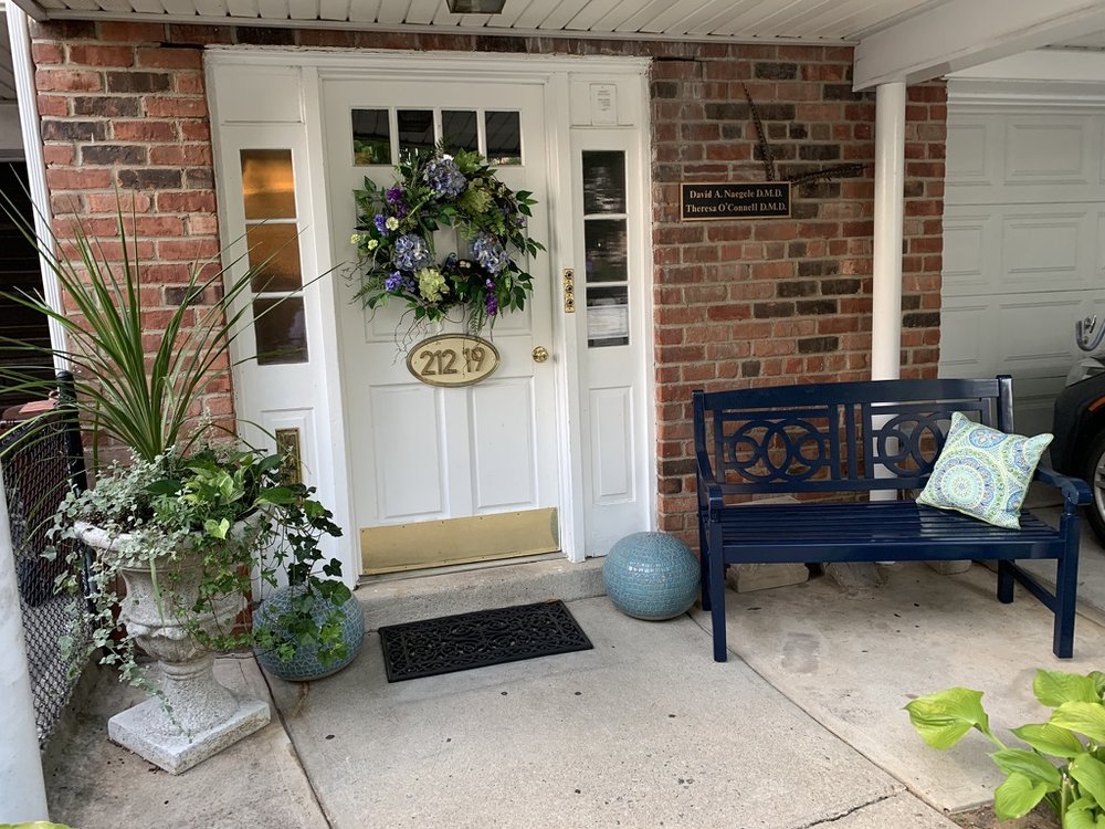 image of business David A Naegele, DMD