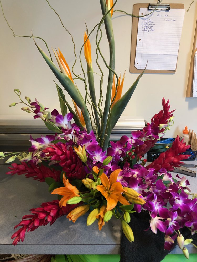 Bird of Paradise Flowers