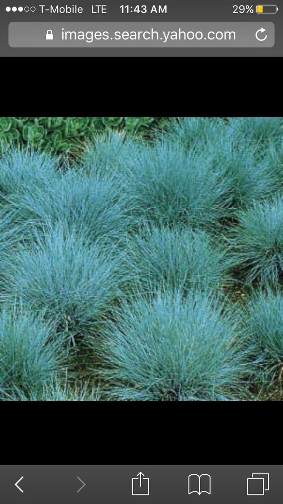 Tachito's Nursery