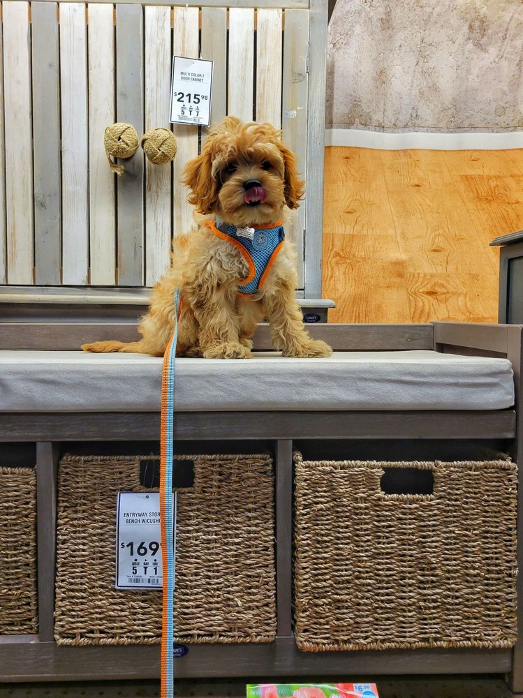 Lowe's Home Improvement