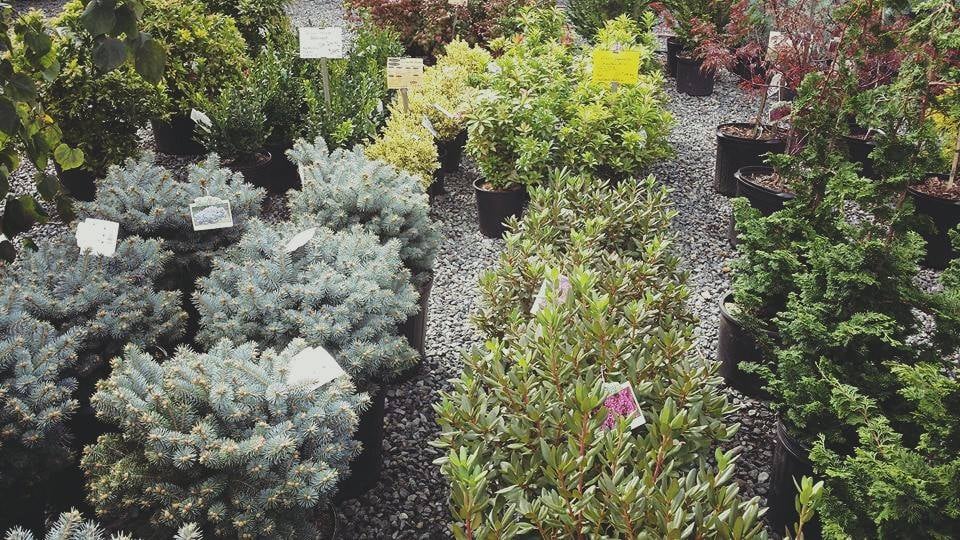 Hetrick Gardens Landscape & Nursery Center