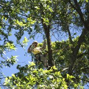 J F Tree Service Inc 29 Photos 59 Reviews Services Photo Of J F Tree Service Inc Beaverton Or United States