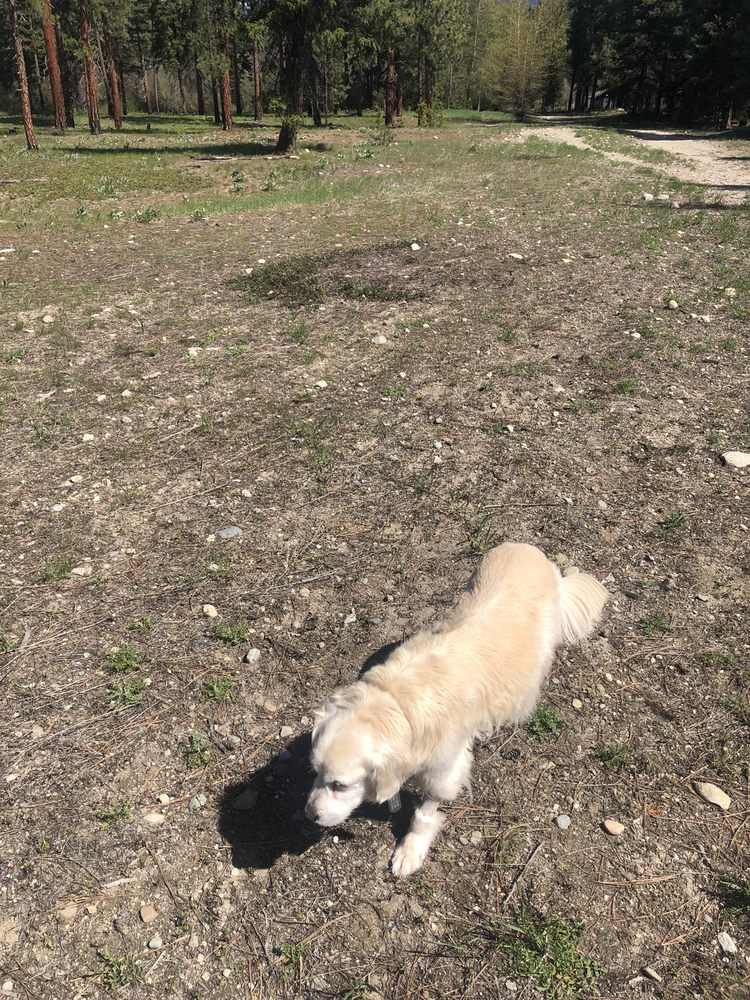 Countryside Veterinary Clinic