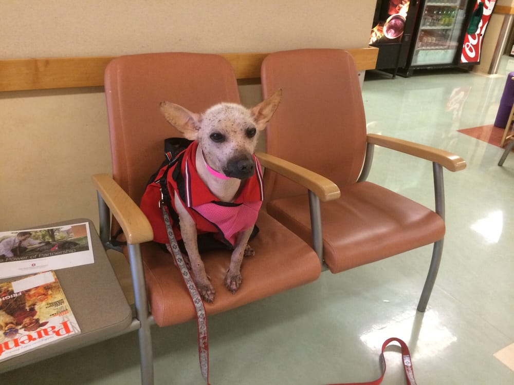 Ohio State University Veterinary Medical Center 11 Photos & 67 Reviews Veterinarians 601