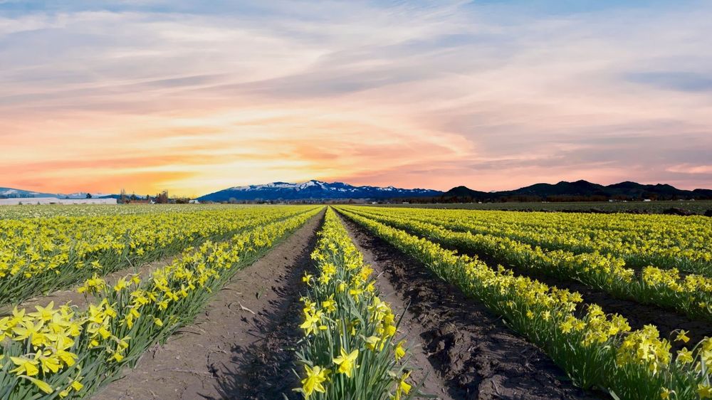 Crawford Garage Doors