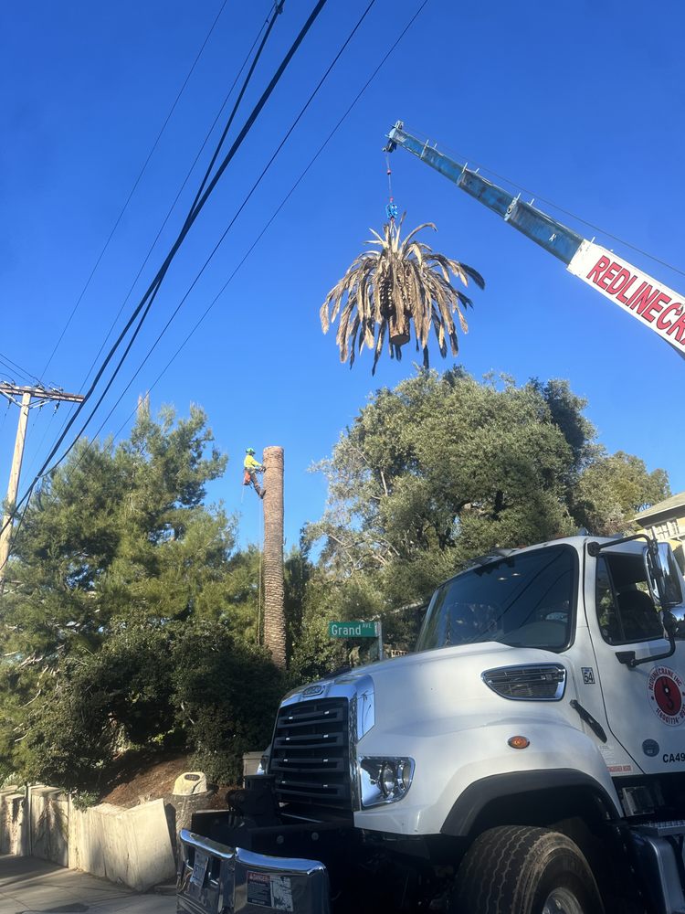 Lopez Tree Service
